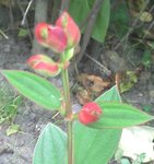 2011-10-04_09-56-46_788.jpg