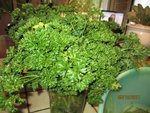 2011-10-05  bouquet x.jpg