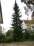 Kopie von PA050125.JPG