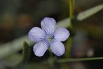 _DSC0258w.jpg