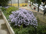 DSCN2577.JPG