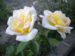 DSCN2502.JPG