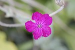 _DSC0084W.jpg
