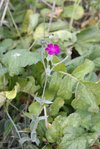 _DSC0091W.jpg
