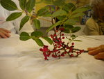 DSCN2620.JPG