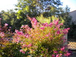DSCN1372.JPG