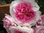 DSCN2210.JPG