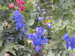 DSCN2351.JPG