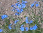 DSCN2360.JPG
