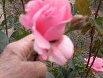 DSCN2314.JPG
