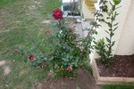 P1010407.JPG