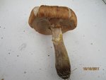 IMG_0414.JPG