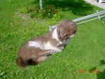 DSC01811.JPG