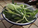 2011-10-11 restes 1x.jpg