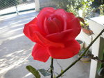 DSCN2644.JPG