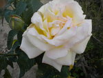 DSCN2647.JPG