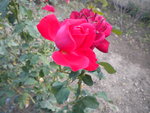 DSCN2651.JPG