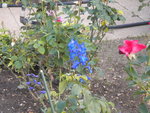 DSCN2652.JPG