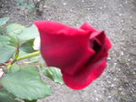 DSCN2653.JPG
