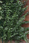 DSC05174.JPG