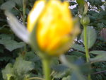 DSCN2536.JPG