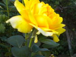 DSCN2535.JPG