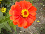 DSCN2598.JPG