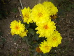 DSCN2597.JPG