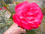 DSCN2599.JPG