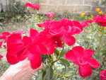 DSCN2600.JPG