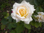 DSCN2601.JPG