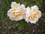 DSCN2602.JPG