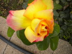 DSCN2606.JPG