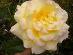 DSCN2607.JPG