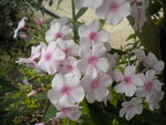 DSCN2608.JPG