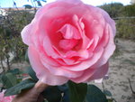 DSCN2668.JPG