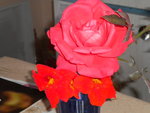 DSCN2672.JPG