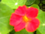 DSCN2612.JPG