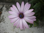 DSCN2615.JPG
