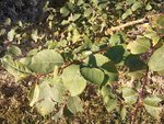 2011-10-14 17.47.45.jpg