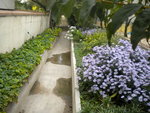 DSCN2580.JPG