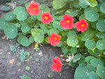 DSCN2524.JPG