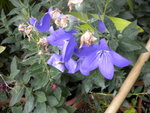 DSCN2463.JPG