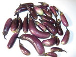 les aubergines