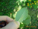 PICT0006.JPG