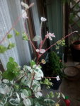 2011-09-15 18.42.08.jpg