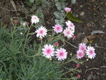 DSCN2657.JPG
