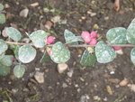 DSCN2658.JPG