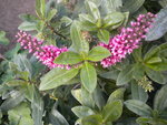 DSCN2660.JPG