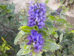 DSCN2661.JPG